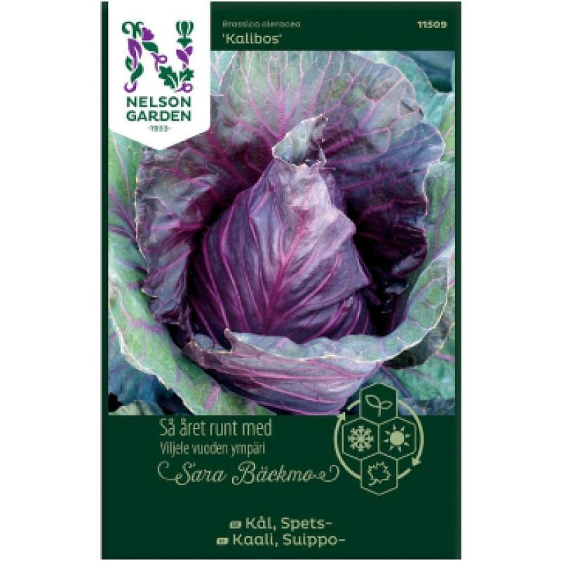 Spetskål Kalibos