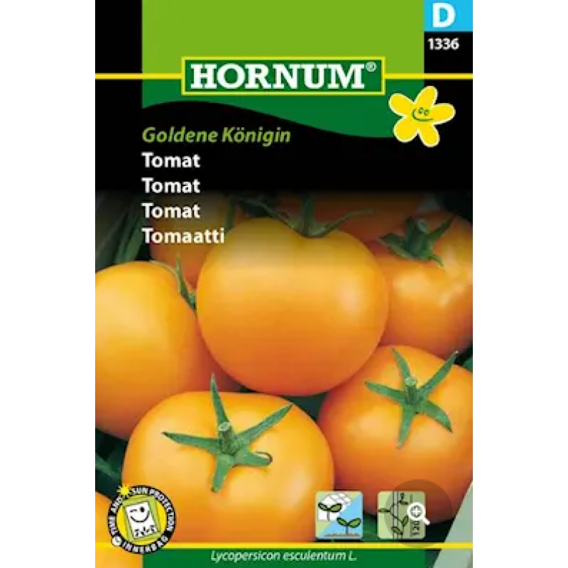 Tomat 'Goldene Königin' frö