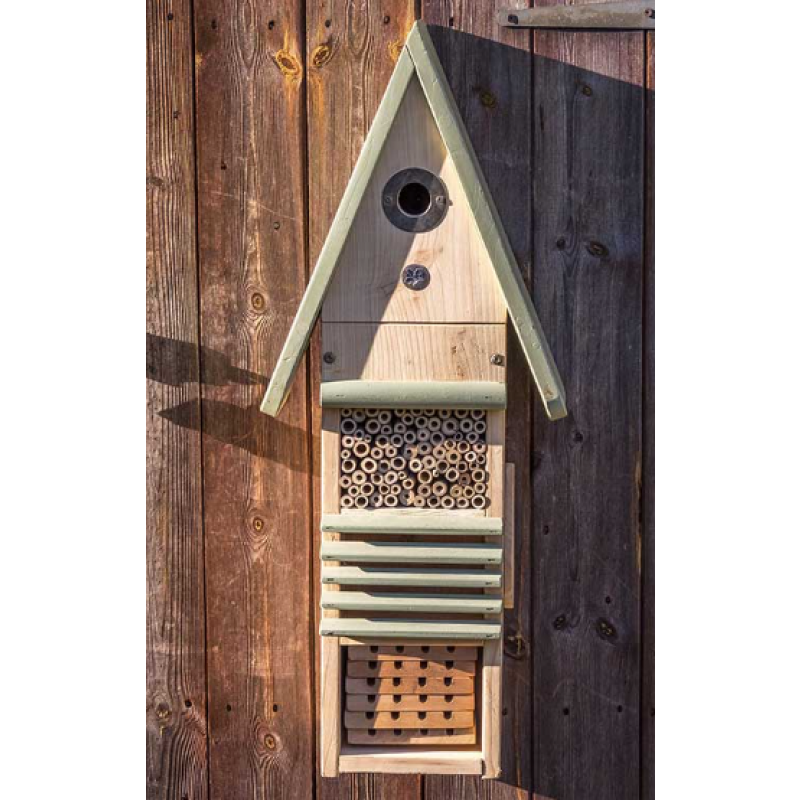 Fågel- och insektshotell