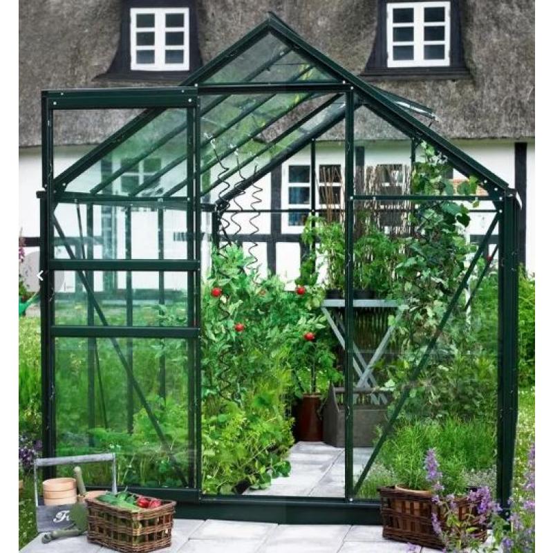 Popular Glas - Grön