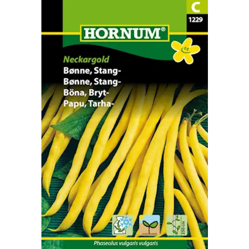 Vaxböna 'Neckargold' frö