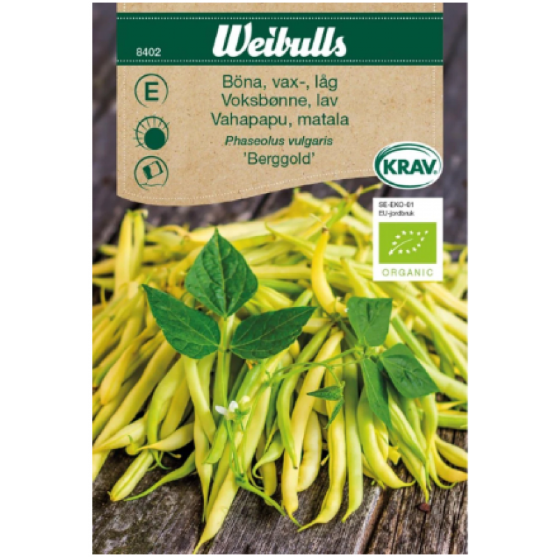 Vaxböna 'Anellino Giallo'