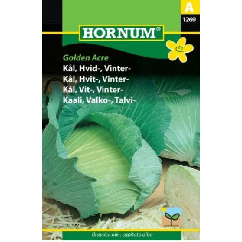Vitkål Golden Acre