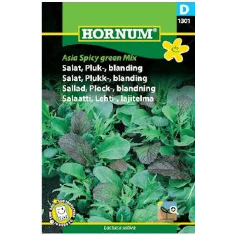 Plocksallat 'Asian Spicy Green'