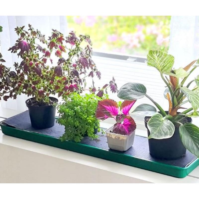 Självvattnande fönsterbricka