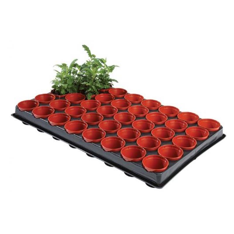 Krukbrätte med 40 krukor