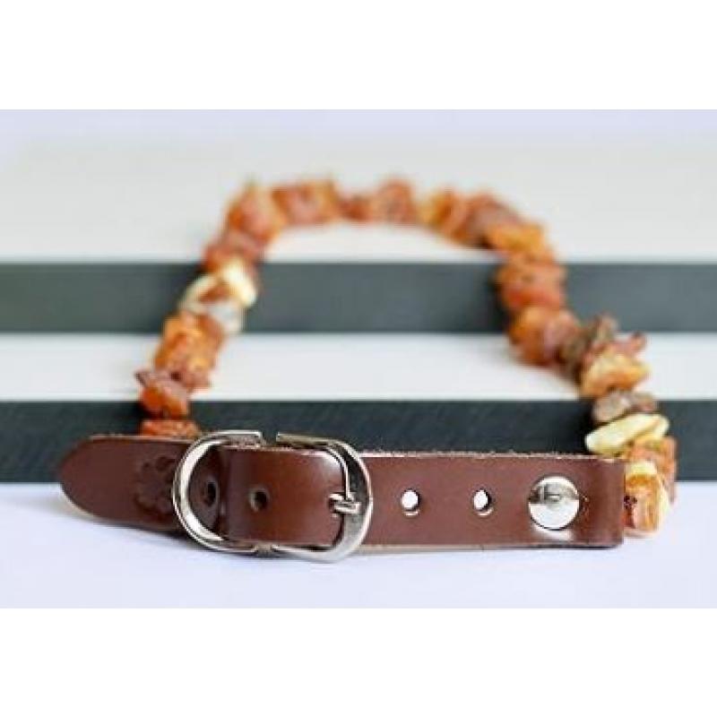 Fästinghalsband av bärnsten