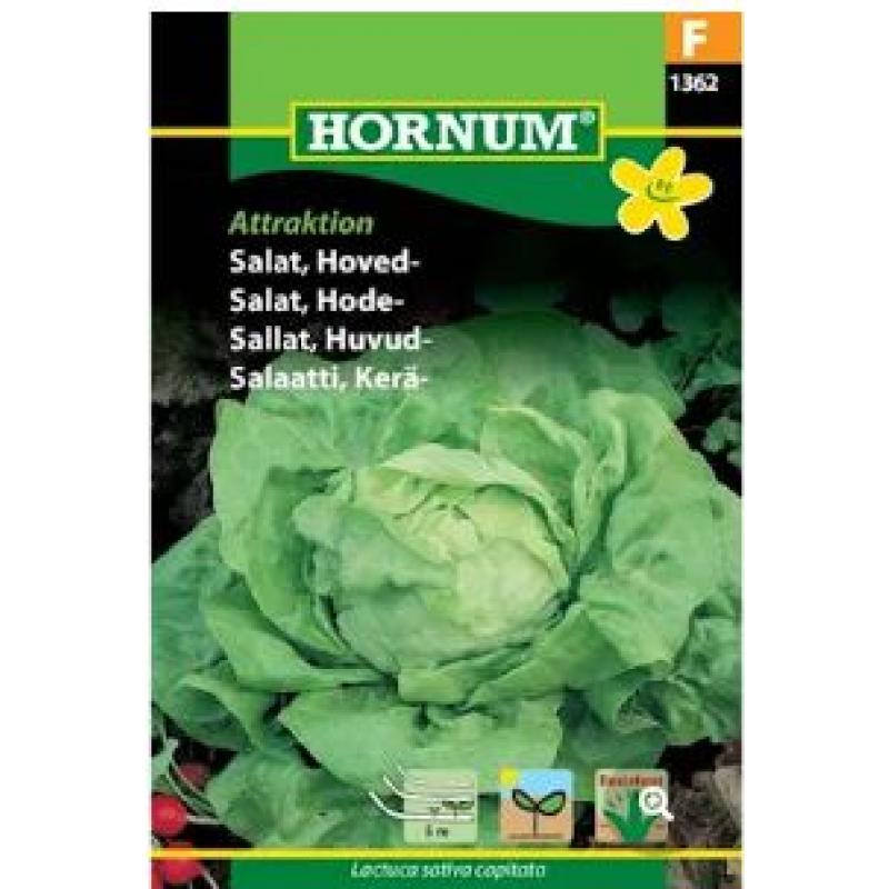 Huvudsallat 'Attraktion' - Såband
