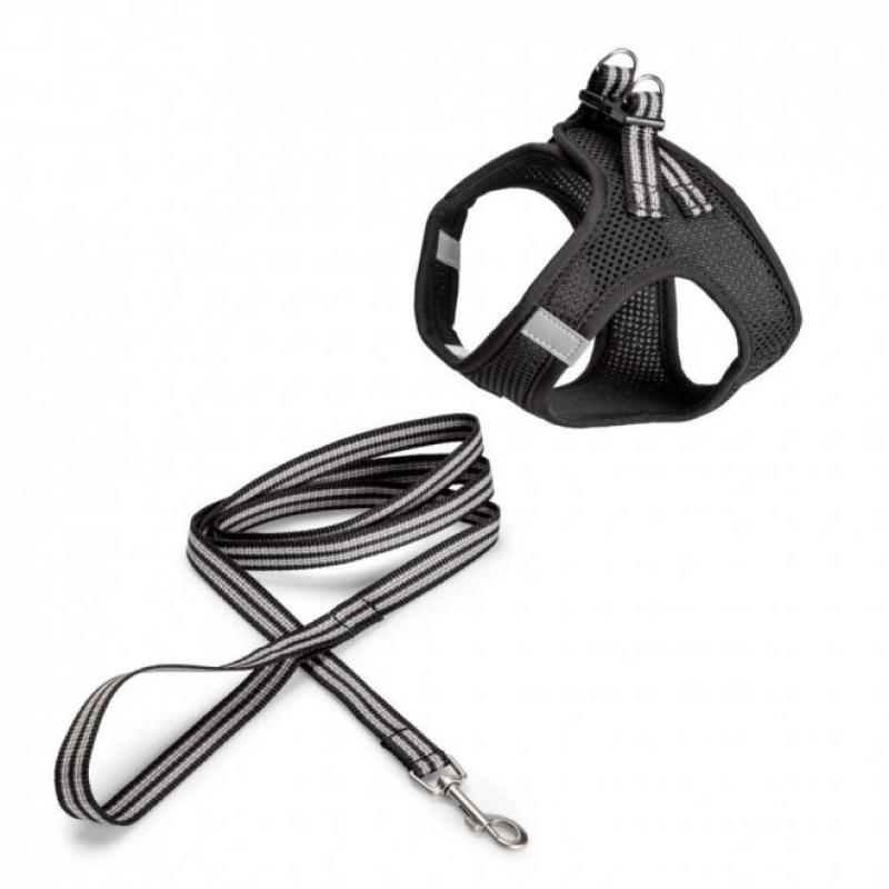 Basic Cat Sporty Sele + Koppel Svart