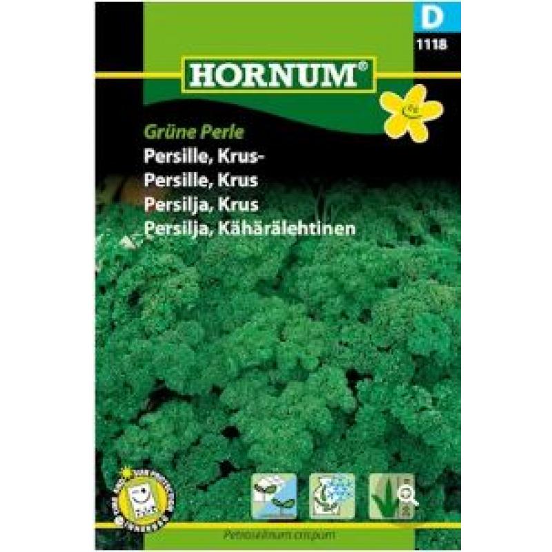 Krusblaig Persilja 'Grune'Perle