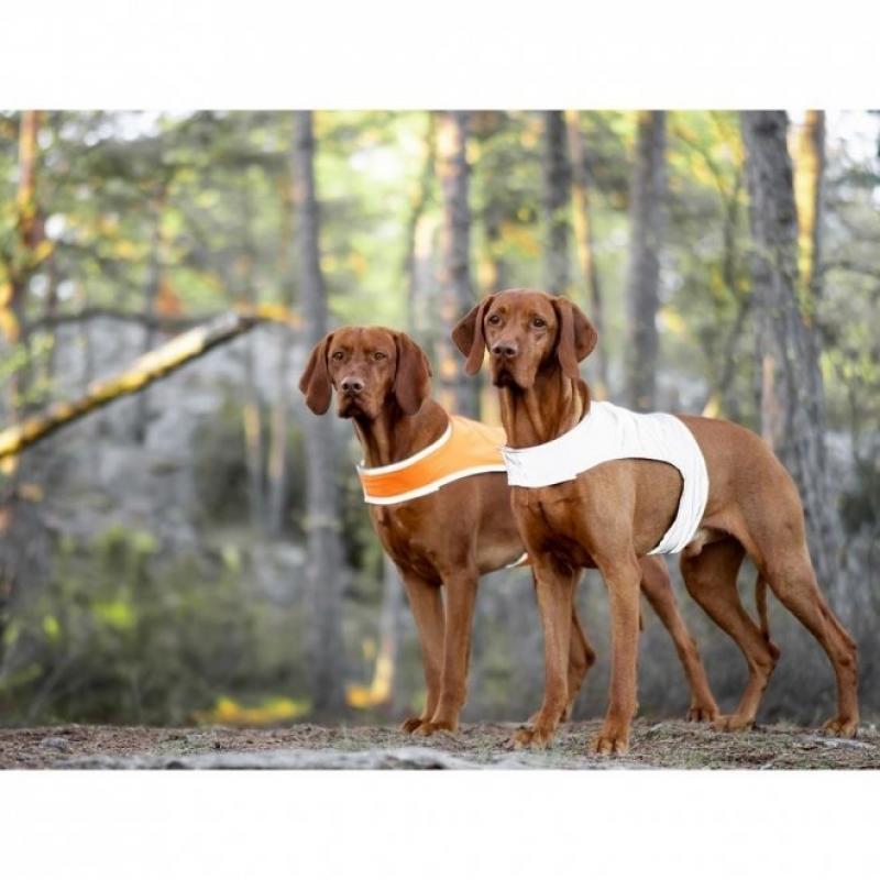 Feel Active Reflective Reflexväst