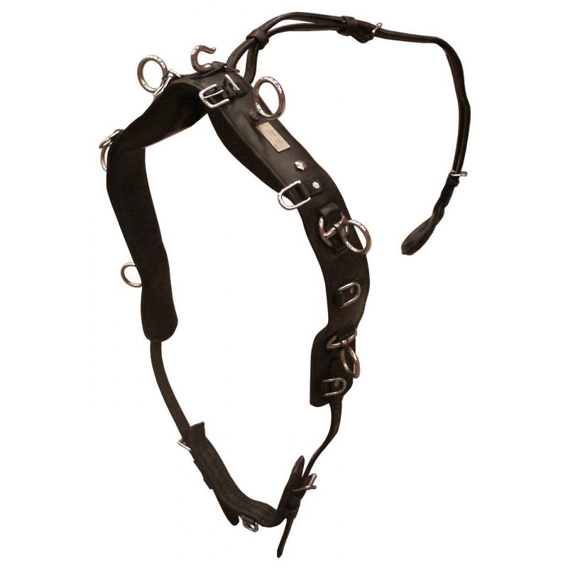 Globus Sport Träningsgjord i Läder - Svart