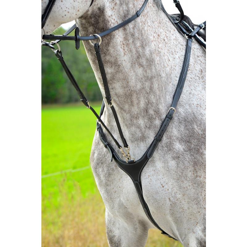 Lippo Fazzino- Förbygel med avtagbart Martingal- Svart
