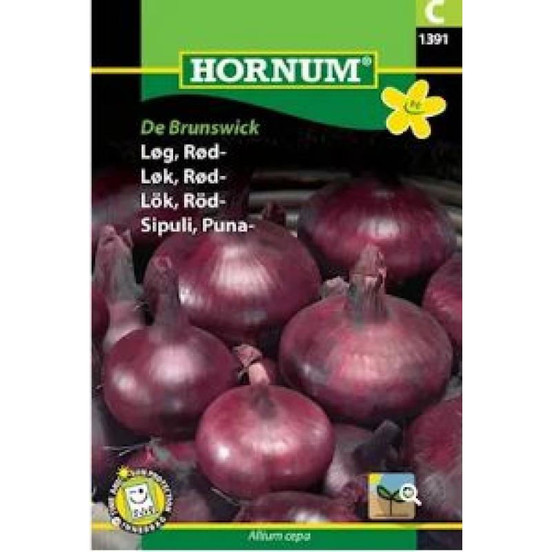Lök 'De Brunswick'