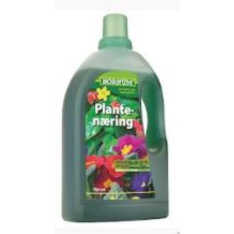 HORNUM Näring för prydnadsväxter