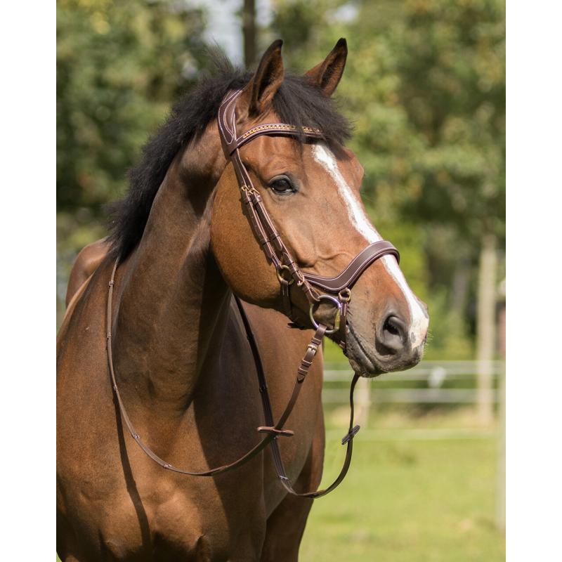 QHP - Anatomiskt Träns Devi - Brunt