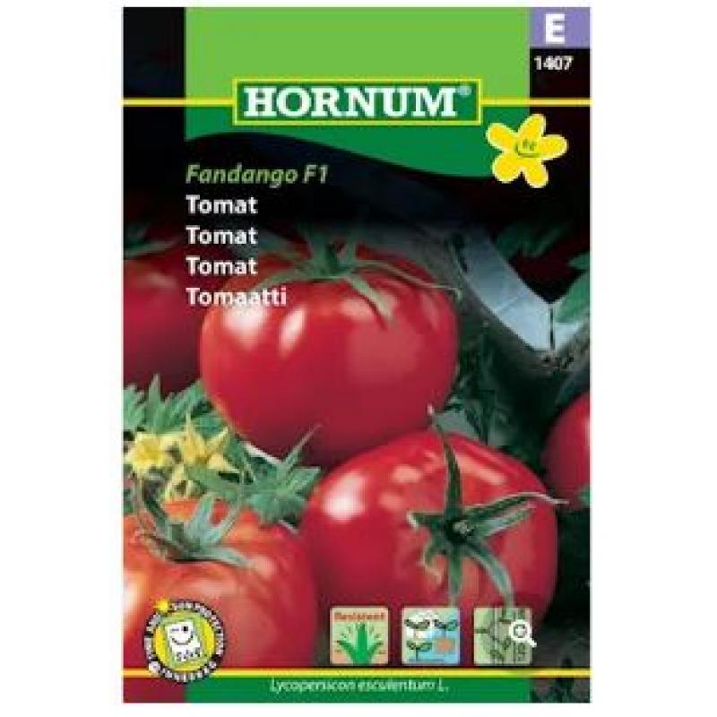 Tomat 'Fandango'