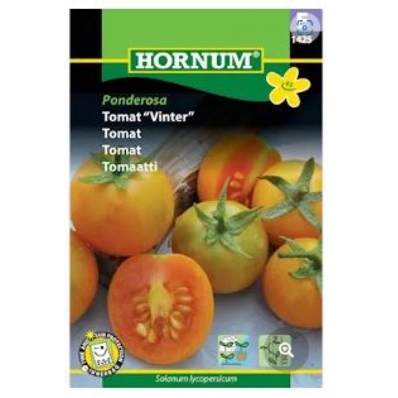 Vintertomat 'Ponderosa'
