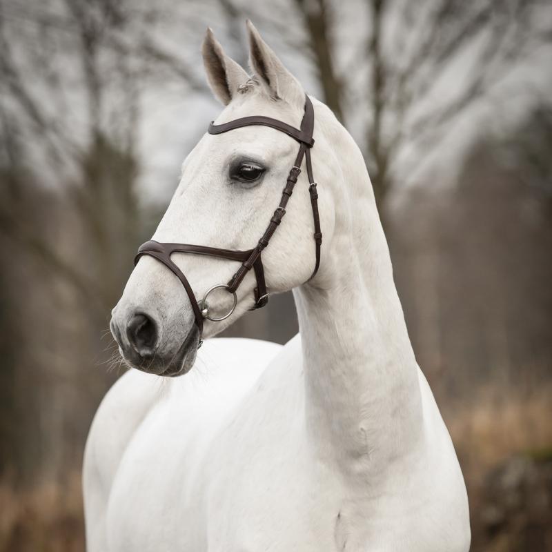 Träns Knights Arthur - Svart