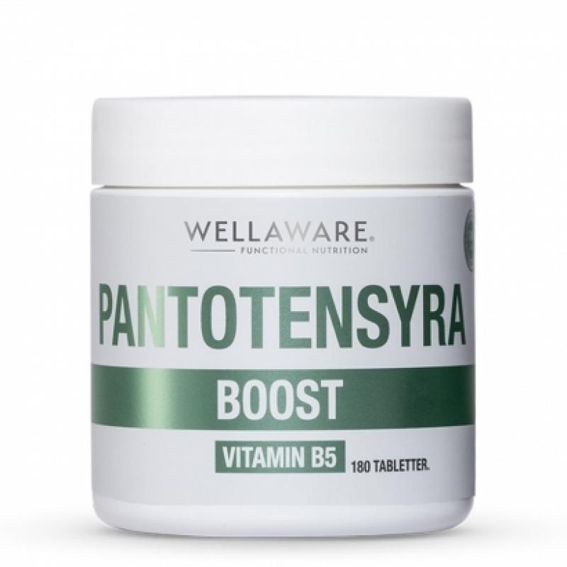 WellAware B5 Pantontensyra 180 tabs