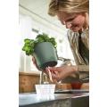 Kryddväxtkruka All-in-1