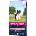 Eukanuba Dog Senior Small/medium Lamb & Rice