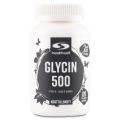 Healthwell Glycin 500
