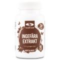 Healthwell Ingefära Extrakt