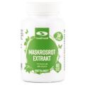 Healthwell Maskrosrot Extrakt