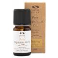Healthwell Pure Pepparmyntsolja Eko