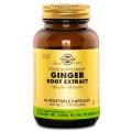 Solgar Ginger Root Extract