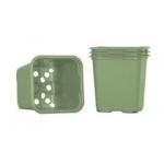 Planteringskruka 8cm, Grön 20st