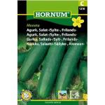 Frilandsgurka 'Moneta'