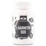 Healthwell L-Karnitin 500