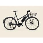 Stålhästen Hybrid Steps Dam