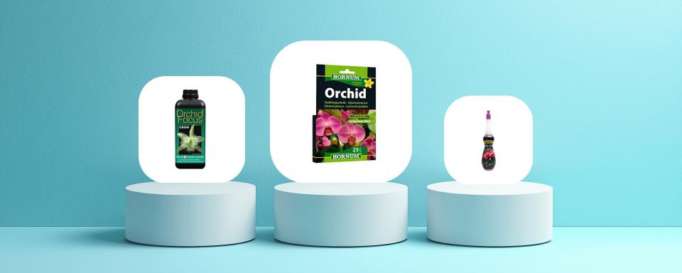 Så valde vi ut de bästa orkidénäringarna