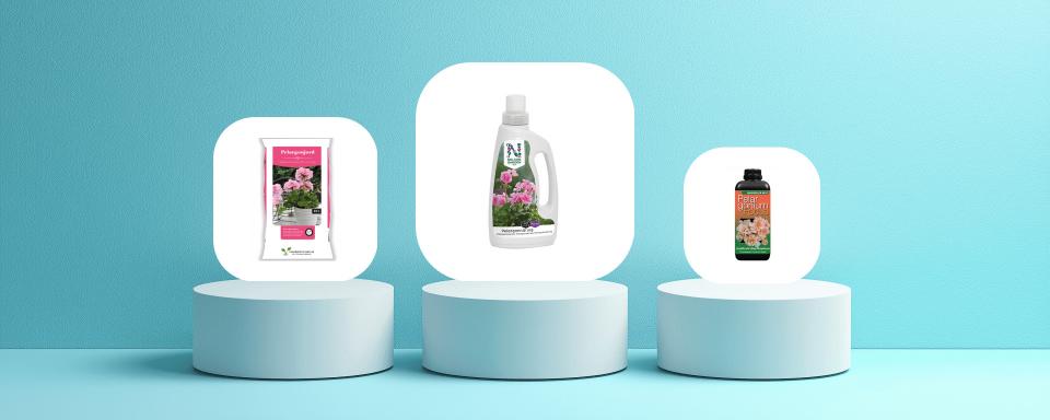 Så valde vi ut de bästa pelargonnäringarna