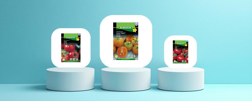 Så valde vi ut de bästa tomaterna att odla