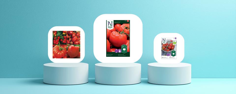 Så valde vi ut de bästa tomatfröerna